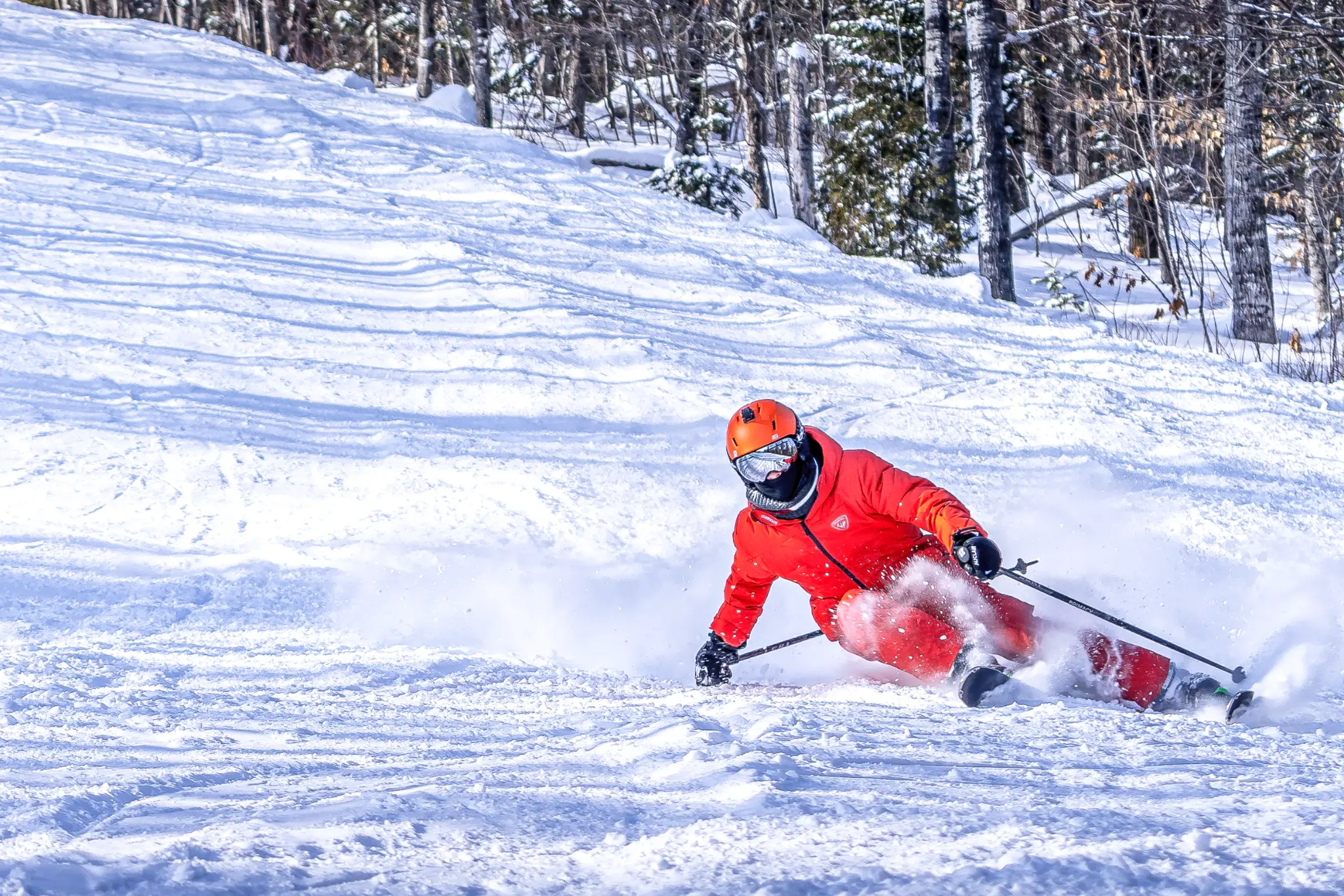 Ski alpin — virage dans la poudreuse
